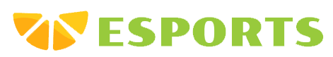 Boutique Esports