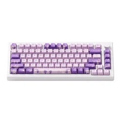 Akko MOD 007 HE PC ANSI US Purple Melody