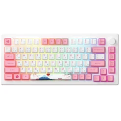 Akko MOD 007B HE PC Wireless ANSI US Tokyo R2