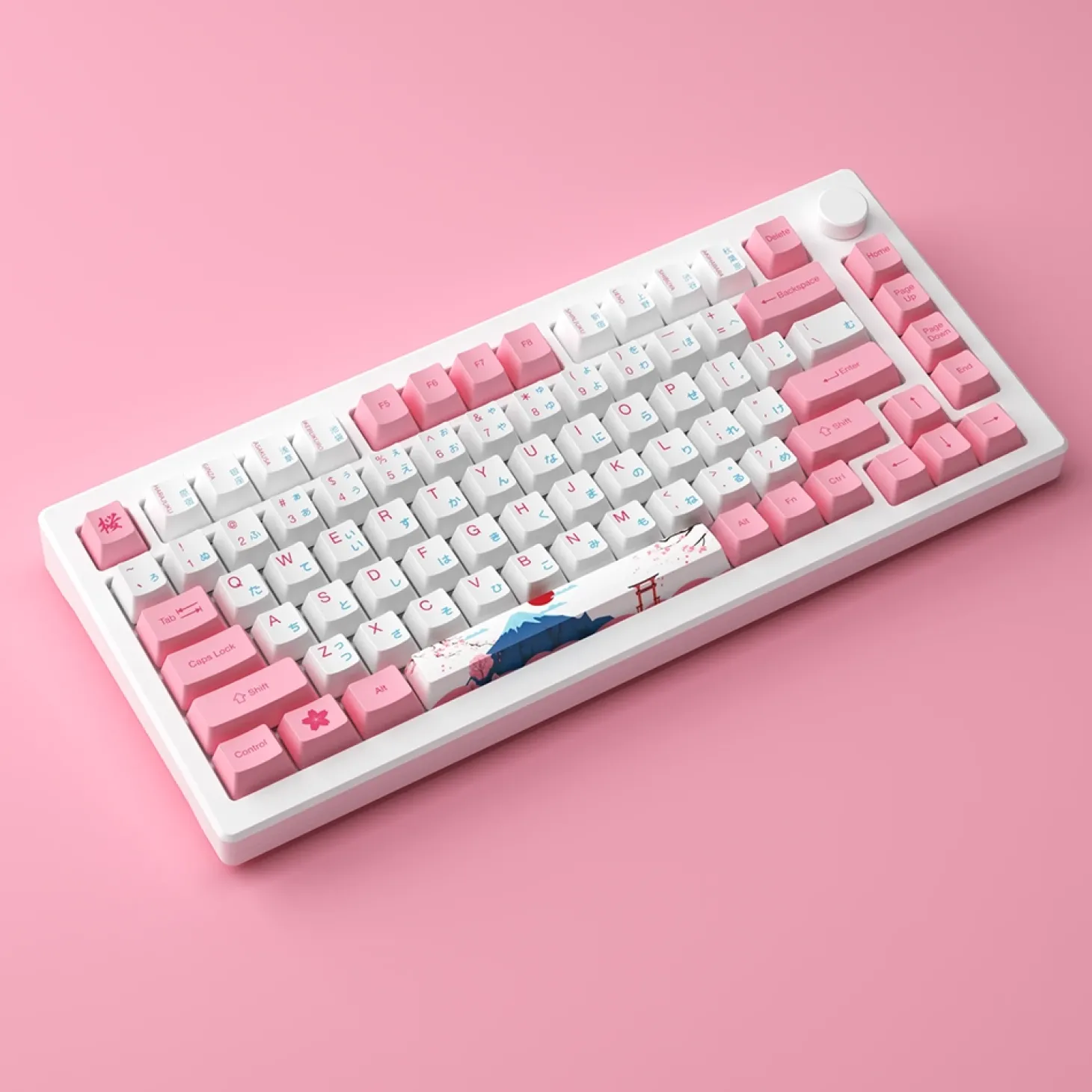 Akko MOD 007B HE PC Wireless ANSI US Tokyo R2