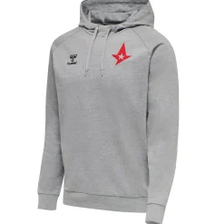 Astralis Hoodie Gris