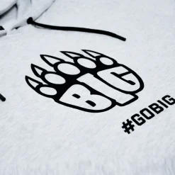 BIG Hoodie Origins Gris