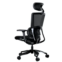 Cougar Argo Noir