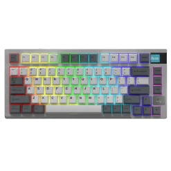 Darmoshark K8 Wireless Blanc/Gris ANSI US