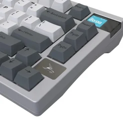 Darmoshark K8 Wireless Blanc/Gris ANSI US
