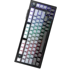 Darmoshark TOP75 Magnetic Wireless ANSI US
