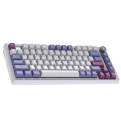 Darmoshark TOP75 Wireless Blanc ANSI US