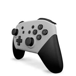 Draw My Pad Manette Switch Pro Panda