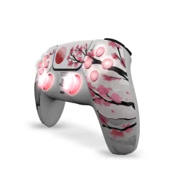 Draw My Pad PS5 Hanami LED