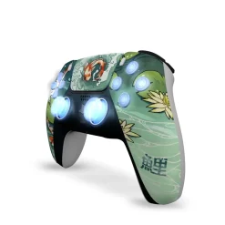 Draw My Pad PS5 Mizuho LED