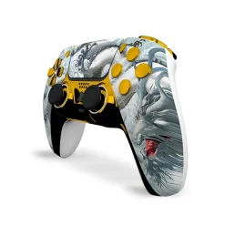 Draw My Pad PS5 Nedrac