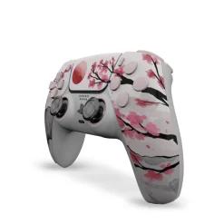 Draw My Pad PS5 Palettes FPS Hanami
