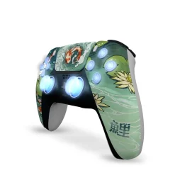Draw My Pad PS5 Palettes FPS Mizuho LED