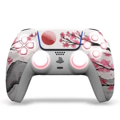 Draw My Pad PS5 Palettes FPS Hanami LED