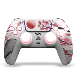 Draw My Pad PS5 Palettes Hanami LED
