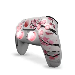 Draw My Pad PS5 Palettes Hanami LED