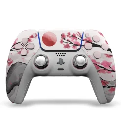 Draw My Pad PS5 Palettes Hanami