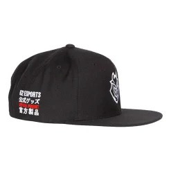 G2 Esports Snapback Essential Noir
