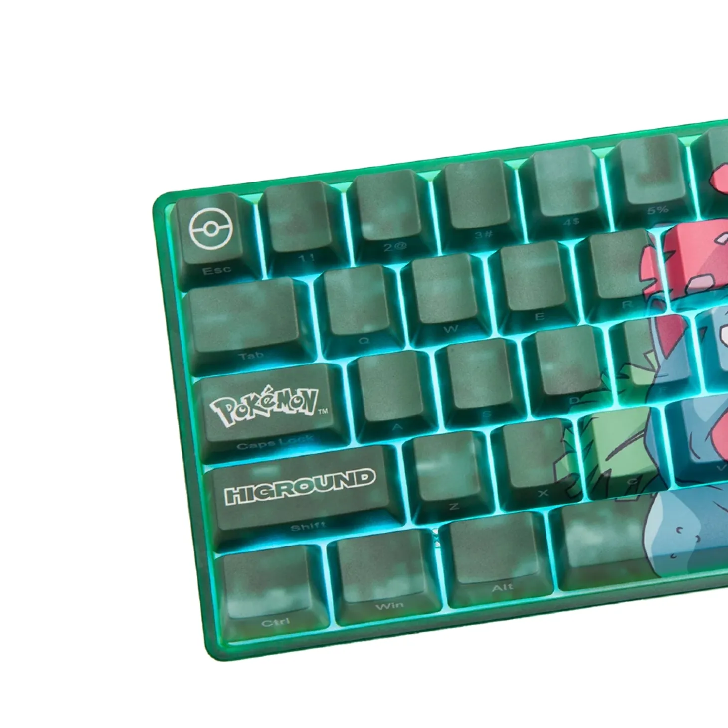Higround Pokémon Base 65 ANSI US Florizarre