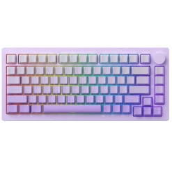 MonsGeek M1W V3 HE-SP Wireless ANSI US Purple Gradiant