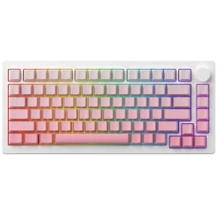 MonsGeek M1W V3 HE-SP Wireless ANSI US Silver Gradiant