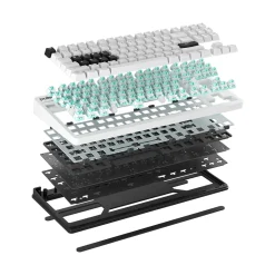 Pulsar Xboard QS First Edition ANSI US