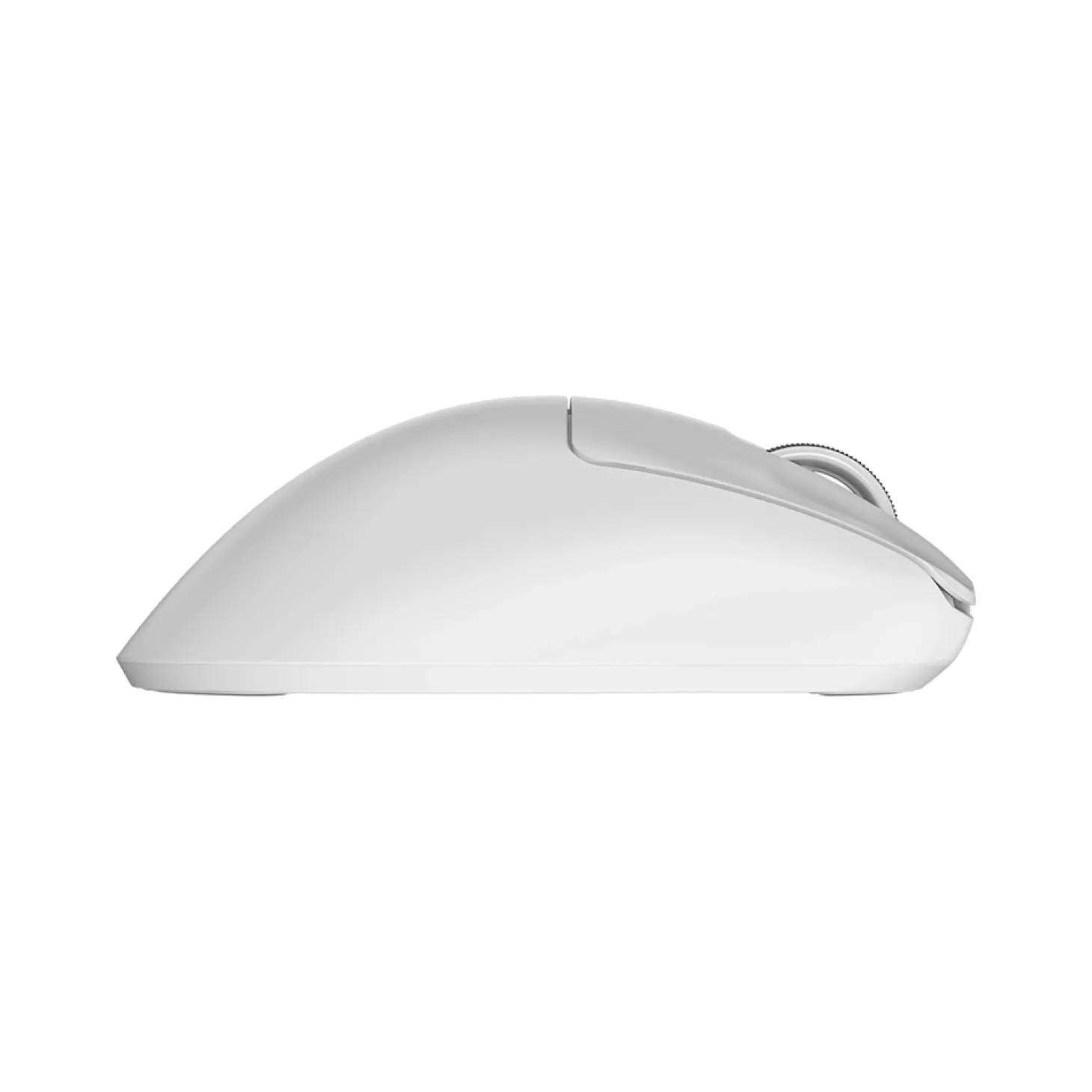 Pulsar Xlite V4 Wireless Blanc