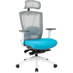 REKT Office-R Bleu Blanc
