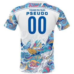 Team Du Sud Maillot 2024 Ciel