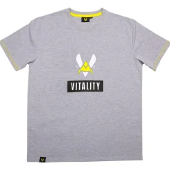 Vitality T-shirt Logo Box Gris