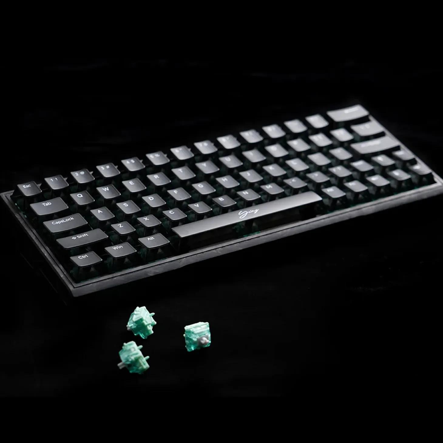 WLMouse YING63 Magnetic ANSI US Edition Mo