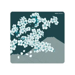 X-raypad Aqua Control II Sakura Green XL Square